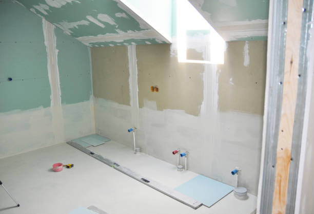 Best Black Mold Removal  in , WI