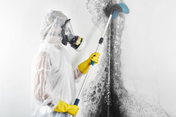 Best Airborne Mold Testing  in , WI