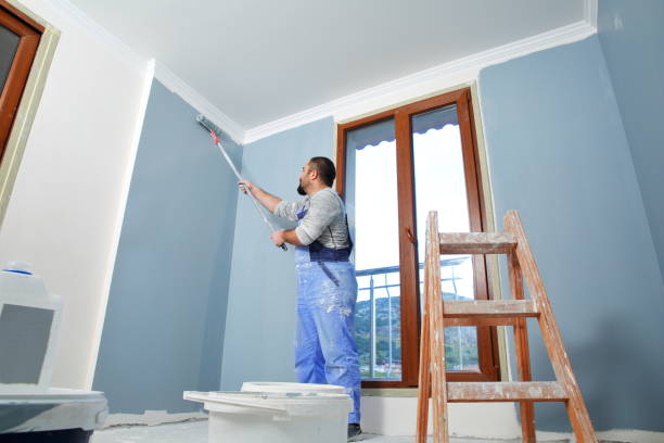 Best Post-Construction Mold Inspection  in , WI
