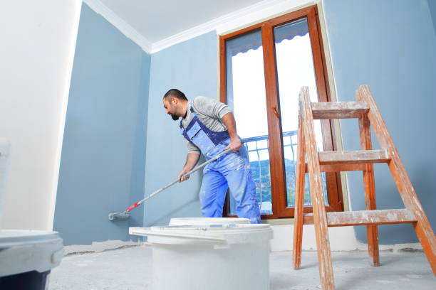 Best Mold Odor Removal Services  in , WI
