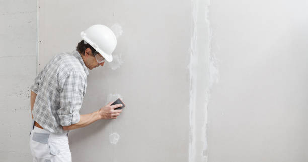 Best Asbestos and Lead Testing During Mold Inspection  in , WI