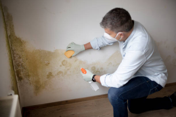 Best Indoor Air Quality Assessment  in , WI