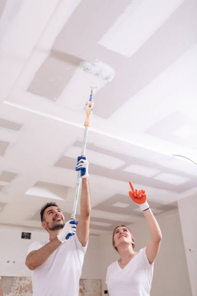 Best Mold Remediation for Rental Properties  in , WI