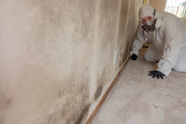 Best Post-Remediation Verification Testing  in , WI