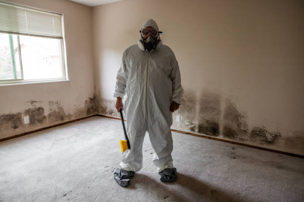 Best Industrial Mold Remediation  in , WI