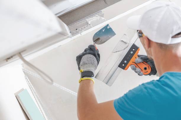 Best Emergency Mold Remediation  in , WI
